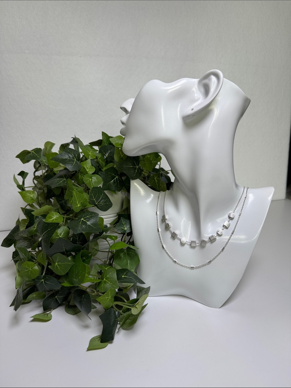NWT Market & Spruce Clea Layered Silver Necklace Stitch Fix